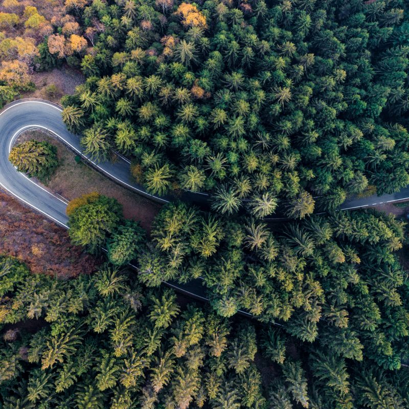 aerial view of forest road