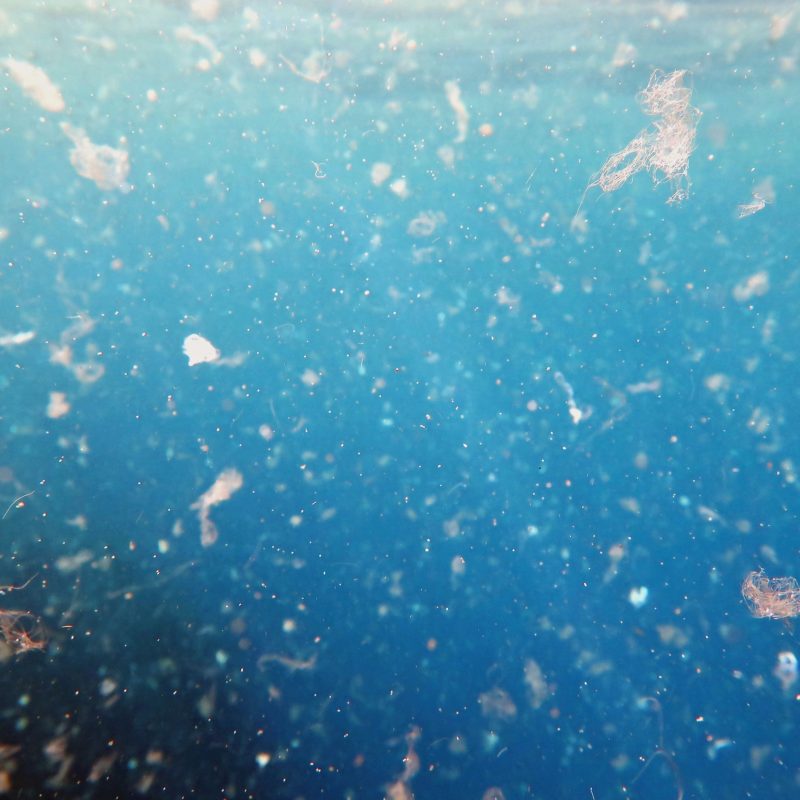 microplastics