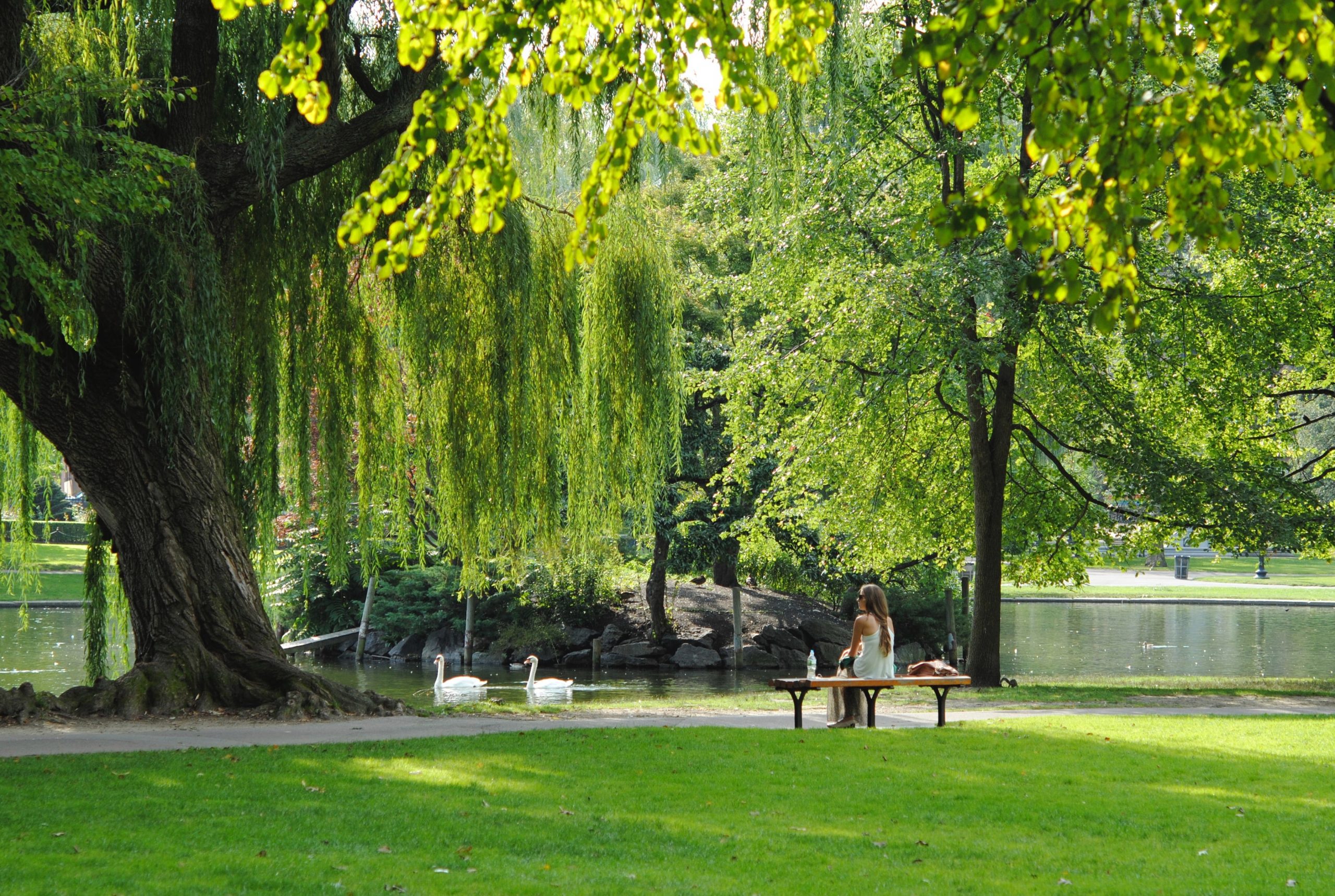 Love Parks Week: how we can keep Britain tidy