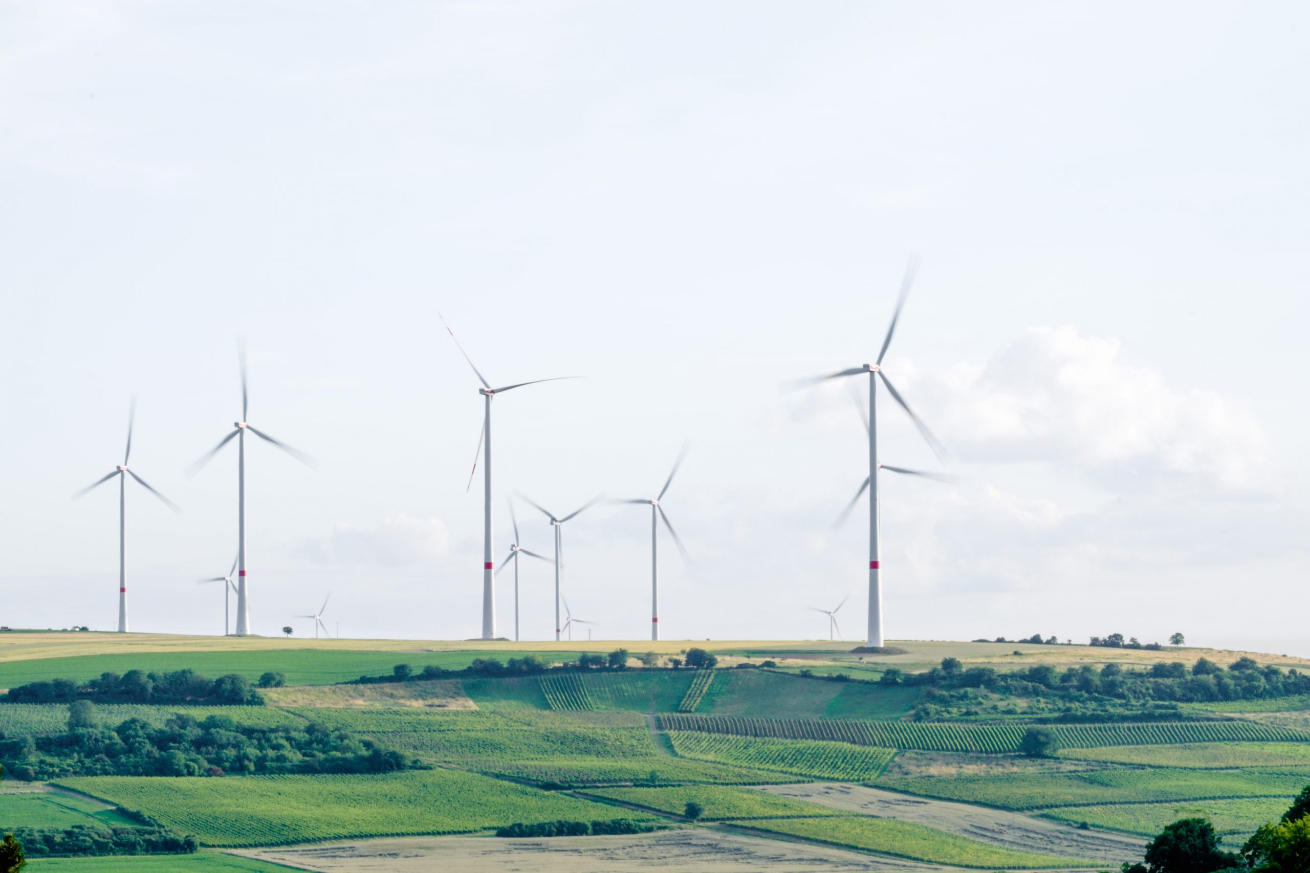 COP26: UK to prioritise “coal, cars, cash and trees”