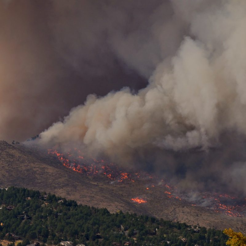 landscape with wildfire