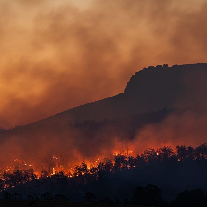 wild fires climate crisis