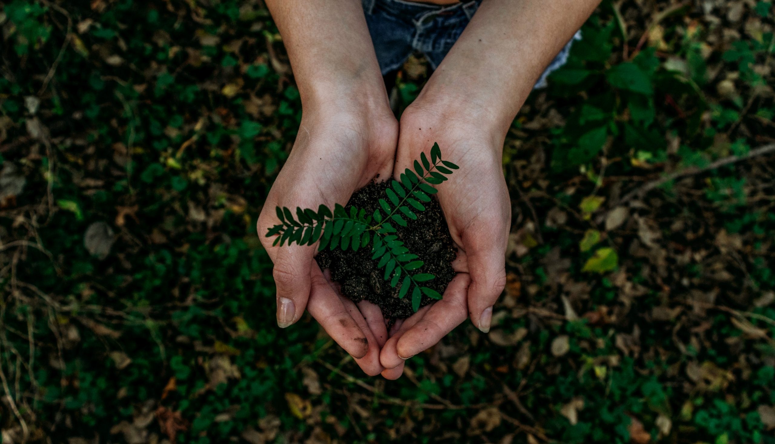 The rise of ESG reporting for social housing