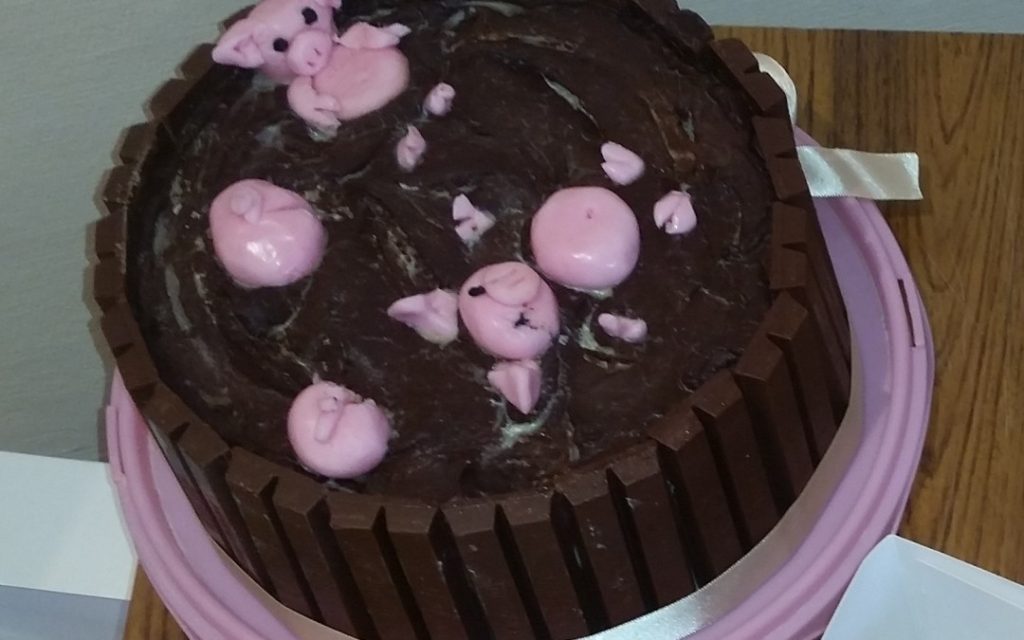 Money-we-raised-pig-cake